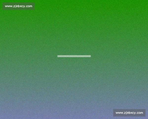 毕巴门神阿吉雷萨瓦拉租借加盟瓦伦西亚,含非强制买断条款