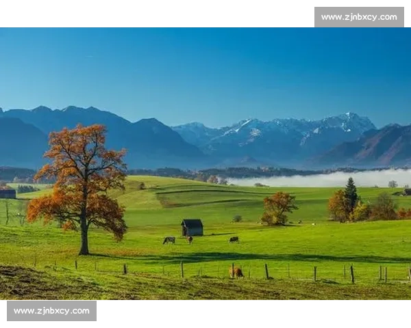 瑞典vs瑞士北欧力量与阿尔卑斯坚韧的正面对决前瞻看点解析全景