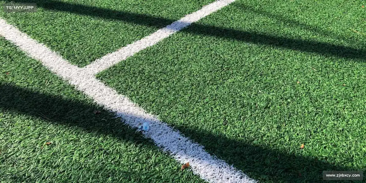 米兰🏋️♀️汗水不会说谎,坚持必有回响 —— 加入我们,塑造更强的自己!